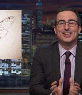 John Oliver Cicadas