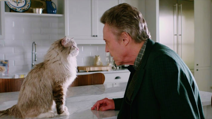 Nine Lives DVD Review Fun film has its moments